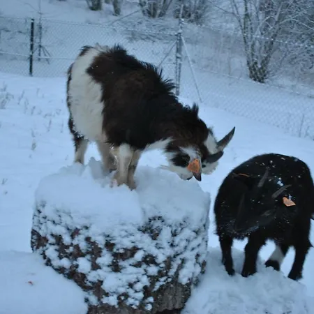 Zagroda Ziolowy Dzbanek Séjour à la ferme Mlynary