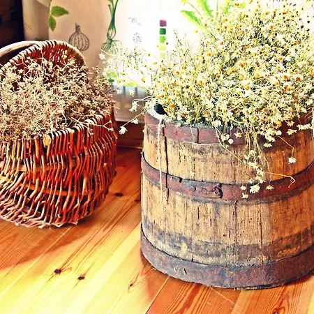 Séjour à la ferme Zagroda Ziolowy Dzbanek