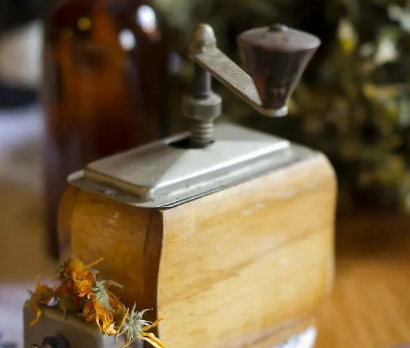 Zagroda Ziolowy Dzbanek 农家乐 *