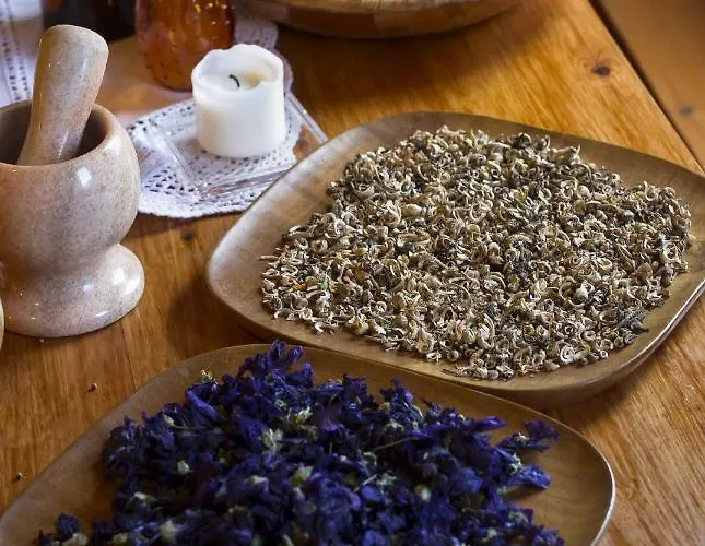 Zagroda Ziolowy Dzbanek Mlynary