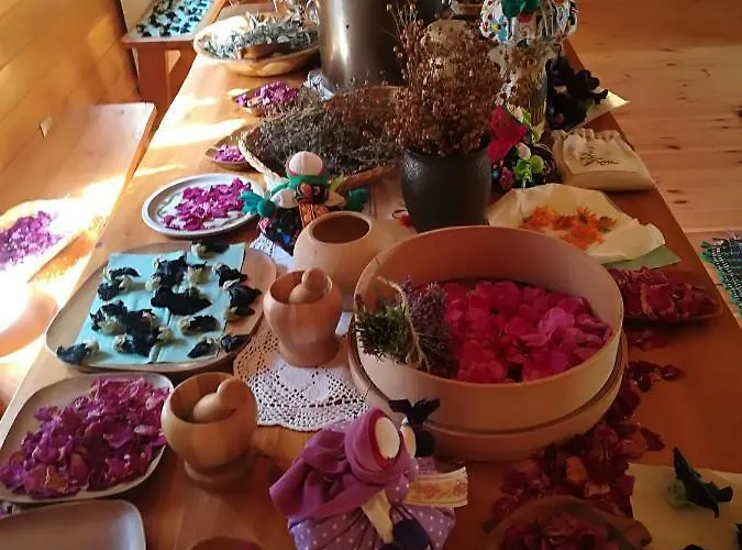 Zagroda Ziolowy Dzbanek *