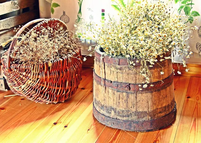 农家乐 Zagroda Ziolowy Dzbanek