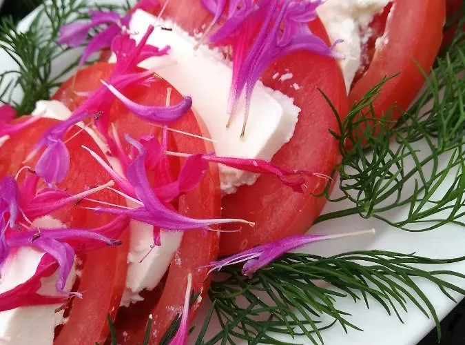 农家乐 Zagroda Ziolowy Dzbanek *